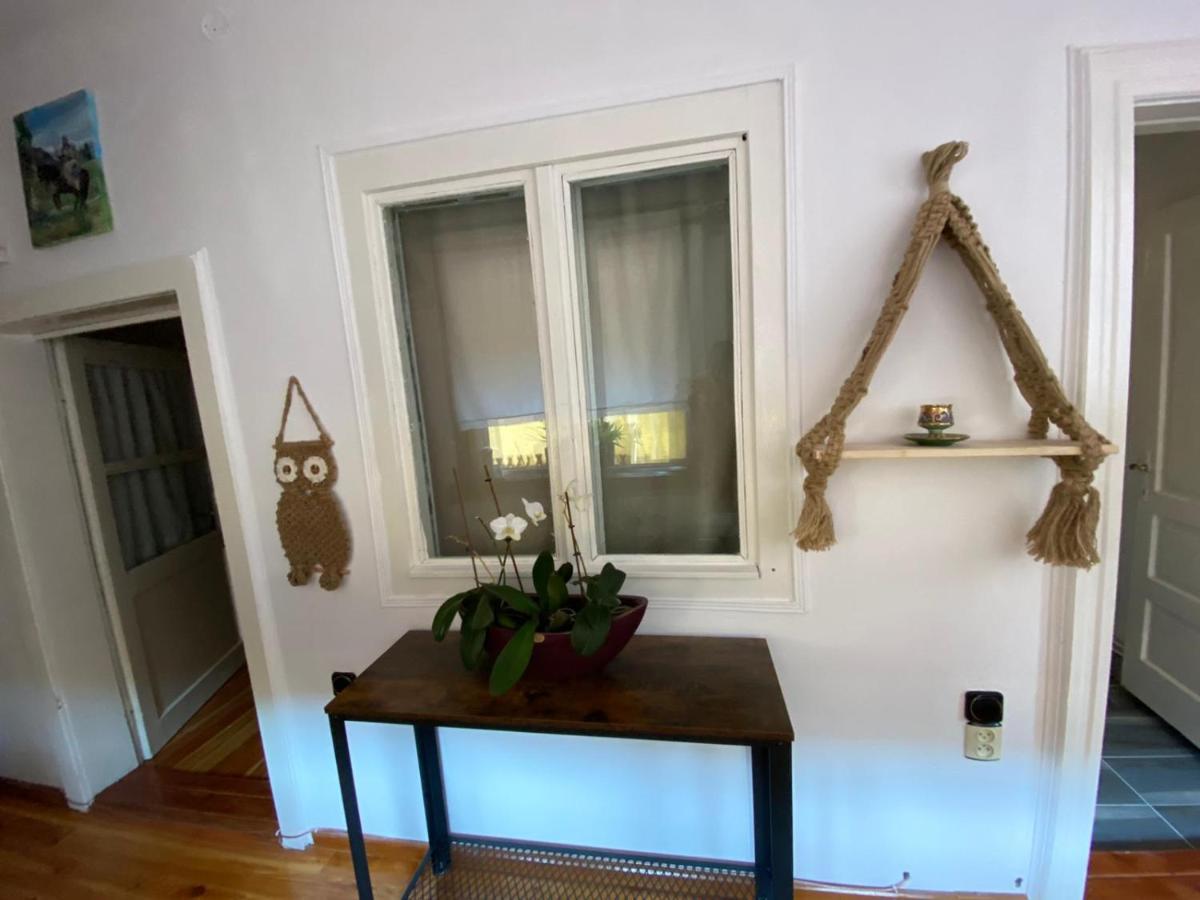 Home Of Art Rîşnov Dış mekan fotoğraf